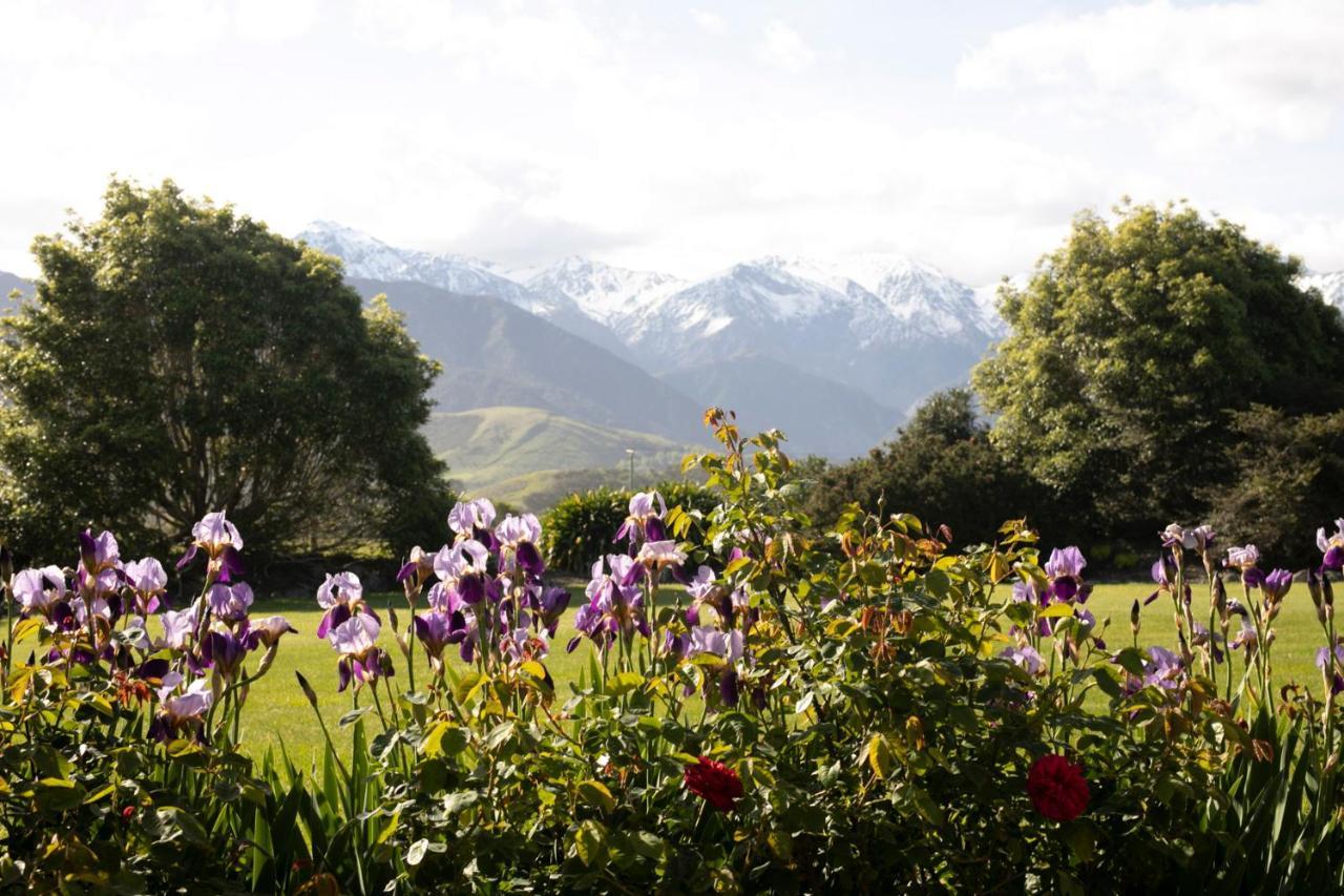 Awatea Country Bed & Breakfast Кайкоура Экстерьер фото