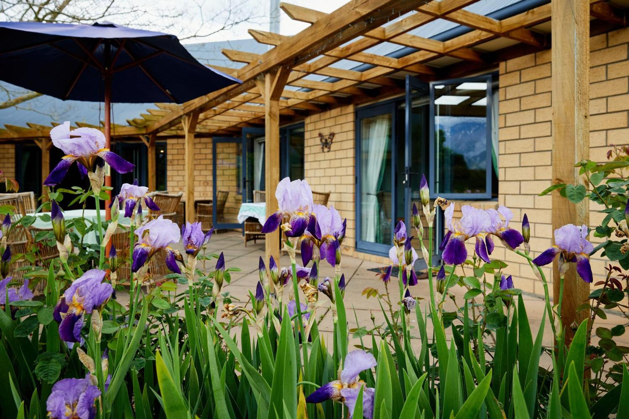 Awatea Country Bed & Breakfast Кайкоура Экстерьер фото